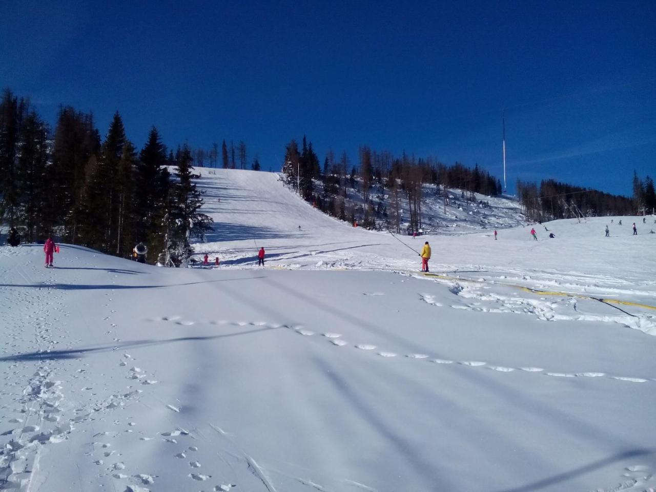 Panorama *